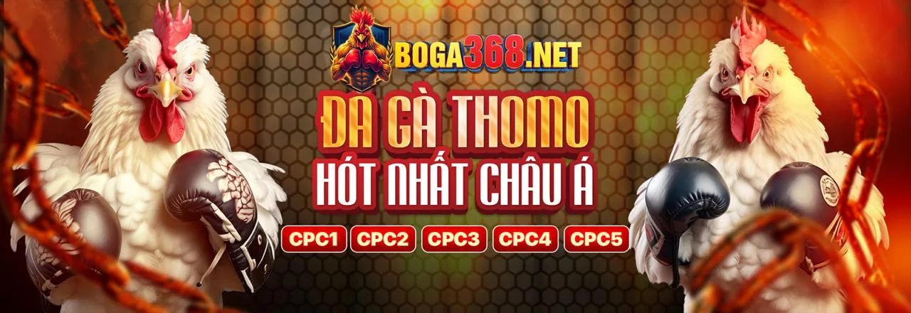 Sân vận động với trận đấu bóng đá đang diễn ra, biểu tượng cá cược thể thao Vin88